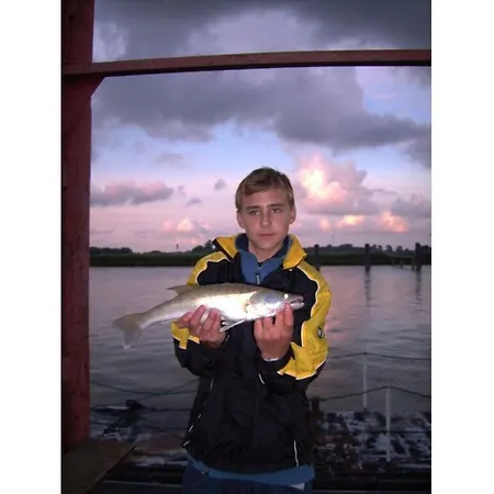 بيت للعطل Atelier 1 Comfortable *